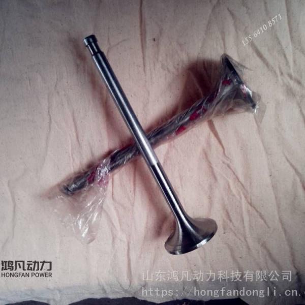 Jichai Chidong 190 Series Engine Parts for Intake Valve and Exhaust Valve 12VB. 03.22