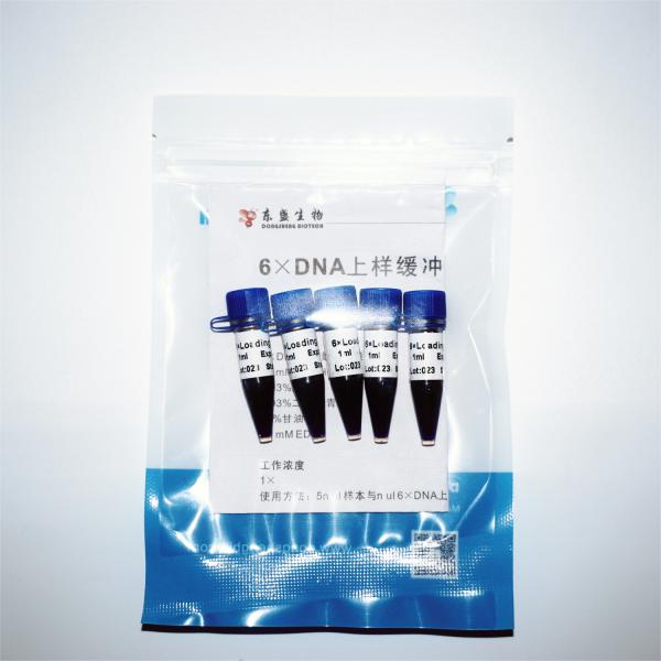 Two Color DNA Electrophoresis Buffer GDSBio Gel Electrophoresis Buffer