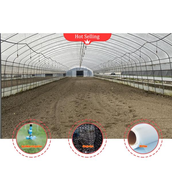 BAOLIDA Economic Agricultural Black Shade Net Tunnel Film Greenhouse For Mushroom