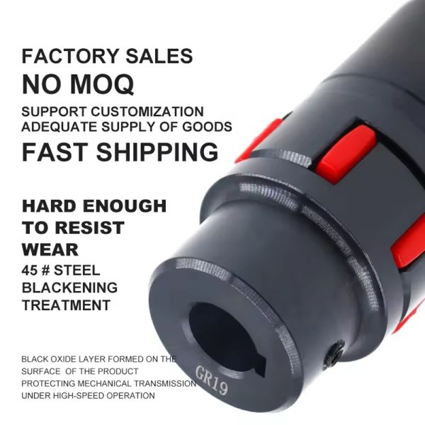 High-Torque Spline Shaft Coupling with Nylon Sleeve for 8mm ~ 25mm Bore Diameter Flexible Motor Coupling
