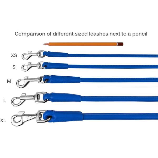 Множественными свернутое размерами кожаной пестротканое веревочки поводка собаки проложенное нежностью