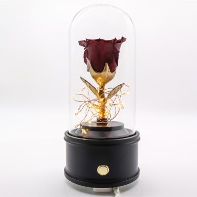 O projeto feito a mão eterno preservou o orador de Rose Glass Dome With Bluetooth