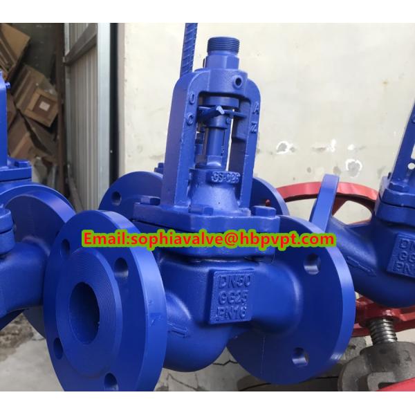 DIN bellows flanged cast iron globe valve