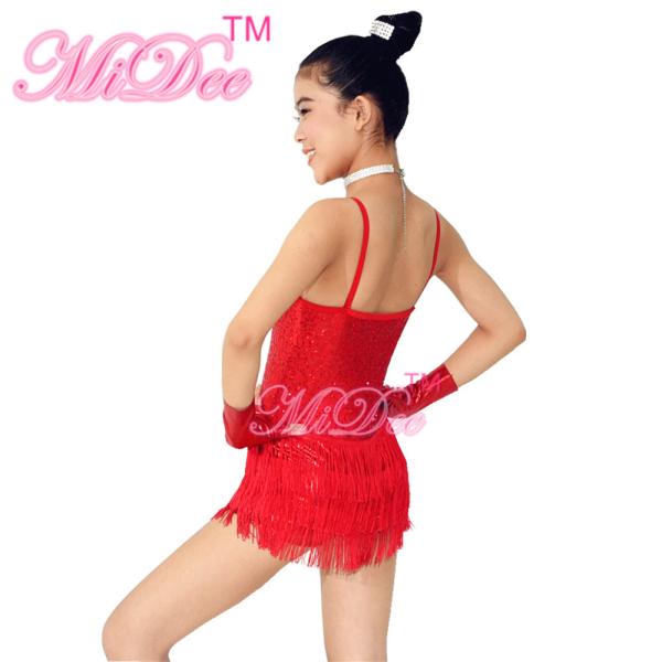 3 Layer Latin Dance Costumes Biketard V - Neck Bodice Flying Fringe Skirt Outfits