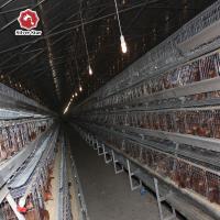 Les poules posent le système de alimentation automatique de cage de poulet d'oeufs