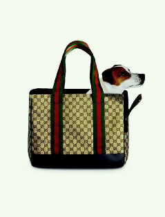 Fashion  nonwoven Pet Carrier Bag with ventilate design for travel or working