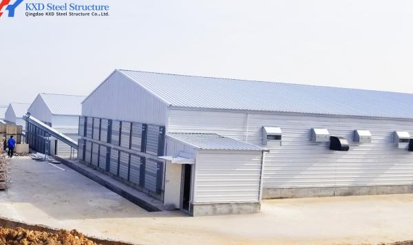Galvanized Steel Poultry Shed for Large-Scale Chicken Farming