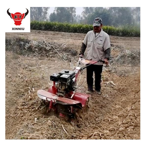 High Safety Level Hand Push Short Model Mini Rotary Tiller for Farming Tools