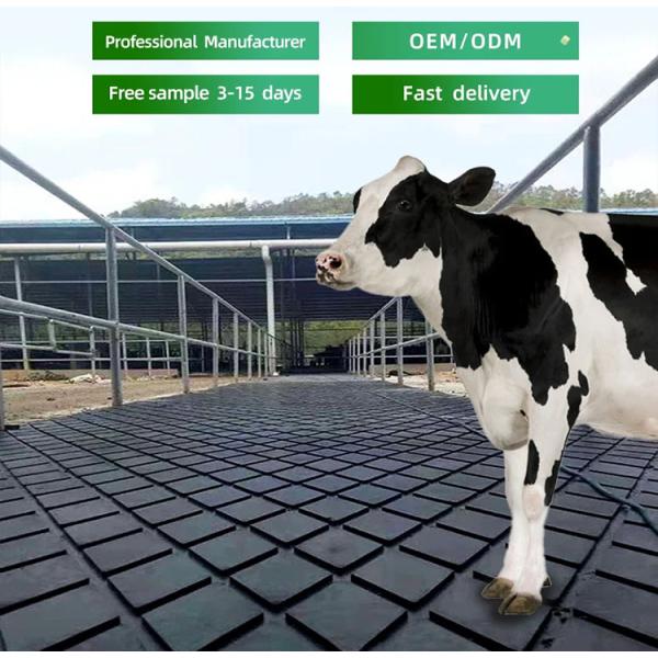 Anti Fatigue Horse Rubber Stall Mats For Dairy Cow Walking Holding Milking Areas