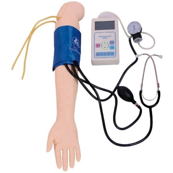 Arterial Blood Pressure Measurement Training Arm Model Categories Educational