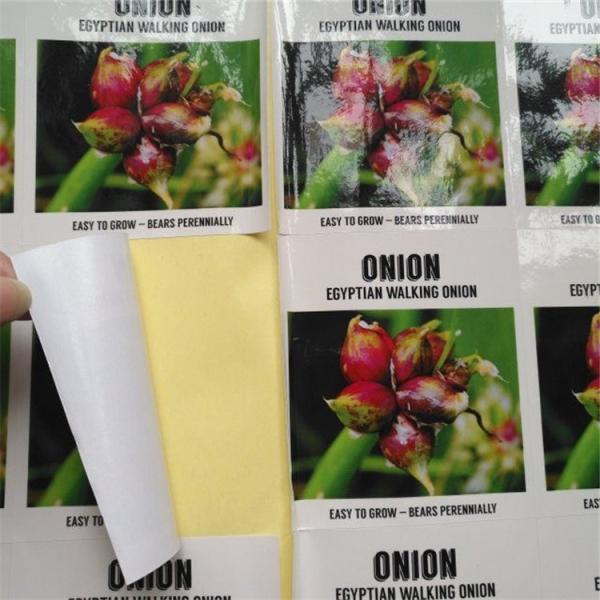 A luva transparente do psiquiatra do PVC etiqueta o código de barras holográfico metálico para a caixa/garrafa de comprimido