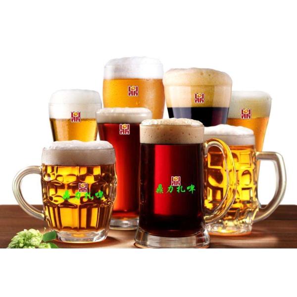 300L 500L Stainless Steel Fermentation Beer Micro Brewing Machine