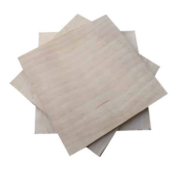 18mm Phenolic Birch Faced Plywood Mothproof For Furniture