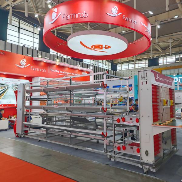 High Uniformity Layer Chicken Cage System in Vietnam