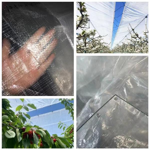 Transparent Agricultural Polyethylene Tarp With Strong Tear Strength 150N/50mm Warm  Green House Woven Fabric
