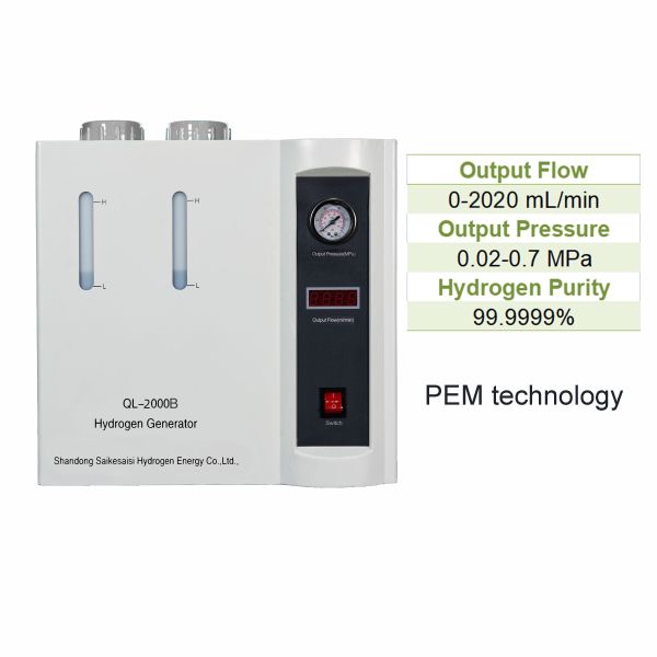 QL-1000 Hydrogen Generator High Purity 99.999% and 99% Production Rate for Lab Scale