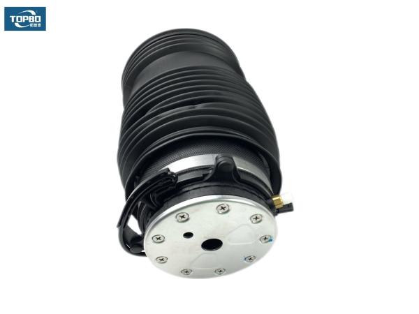 Bolso 2133200125 2133200225 del muelle suspendedor del aire de la parte posterior de Mercedes Benz W213