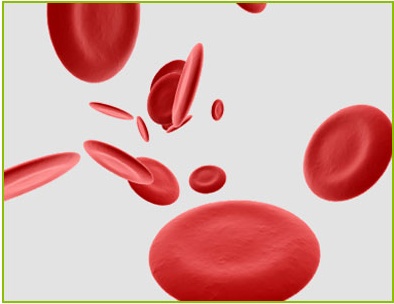 LLLT Red Light Nasal Laser Therapy Device 5 Levels Allergic Rhinitis Treatment Device