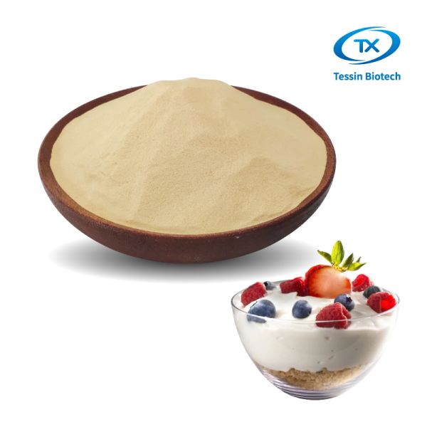 Nutrition Yeast Flakes Inactive Ingredient Dried Powder 200 Mesh