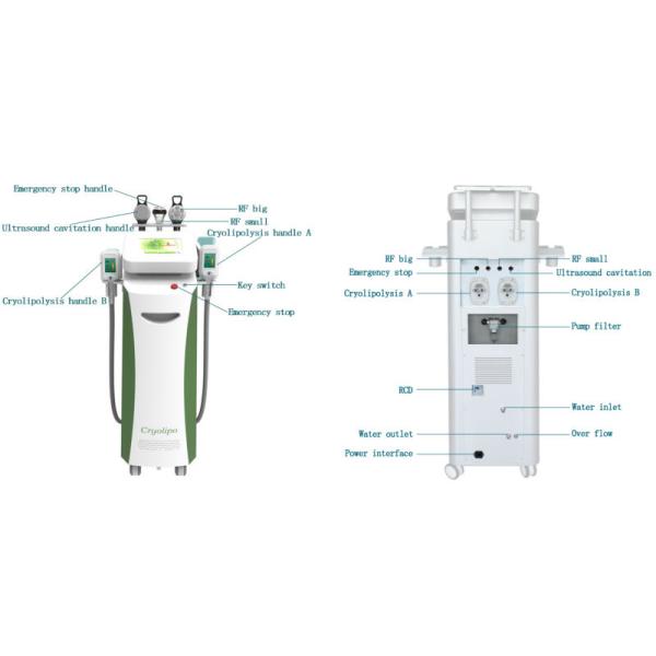 Best Price with cryolipolysis slimming weight loss and fat reduction machine for spa