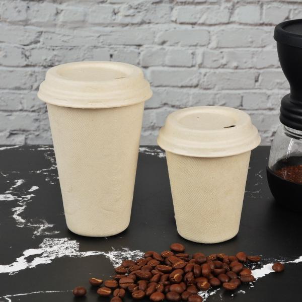 Customizable 8oz/10oz Bagasse Cup Food Grade Disposable Container with Customization