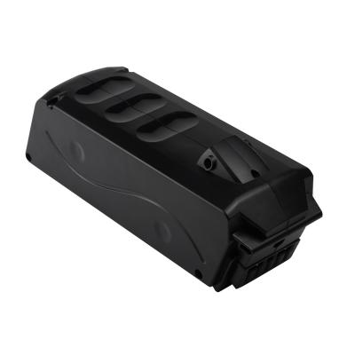 Performance Line Bosch Powerpack 300 Battery Suitable for All Conditions