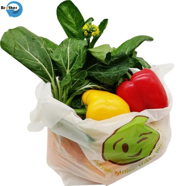 Biodegradable/Compostabe Vest Shopping Bag/Trush Bags/Mailing Bags/Flat Bags/Zip-Lock Bags/Clothes Bags/Garbage Bags En 13432 Standard with TUV