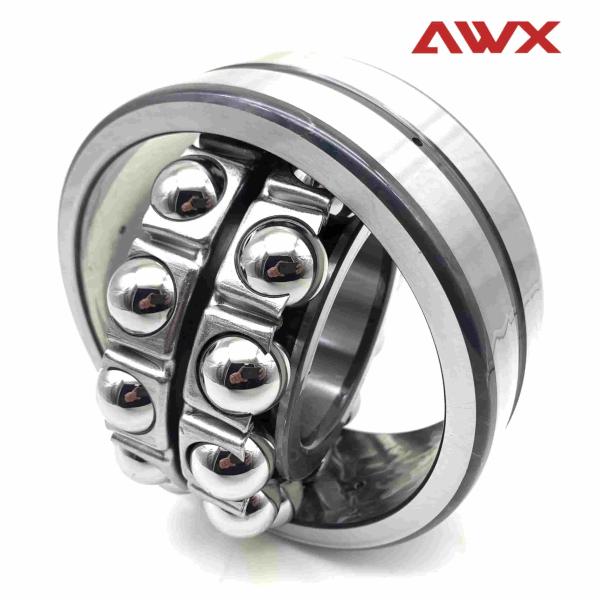 1220 Cylindrical Ball Bearings Chrome Steel Double Row Ball Bearings With 25.7KN Load Rating