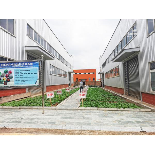 Alto teor de nutrientes 8% de aminoácidos quelados Micronutrientes Fertilizante líquido com Ca ≥ 30 g/l