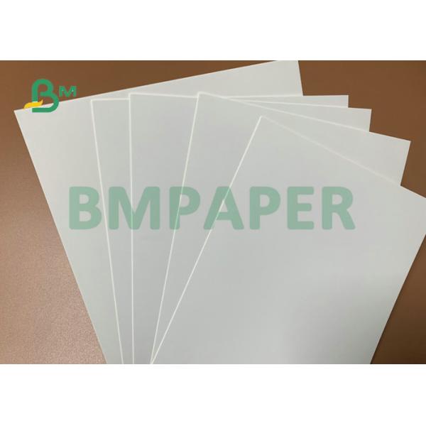 300gsm 350gsm C1S Carton Paperboard For Folding Packing Box