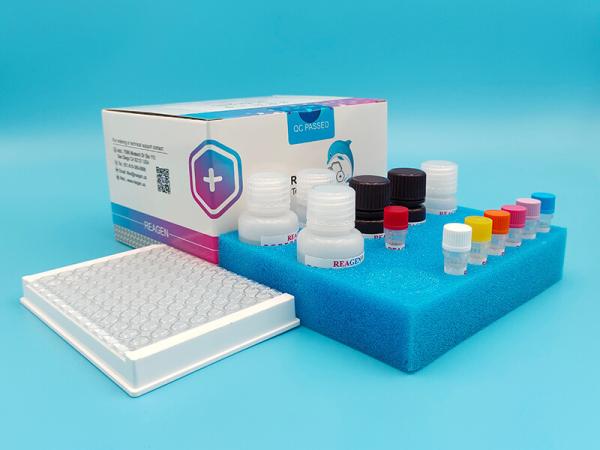 1 Quantity Dairy Milk Testing Kit High Accuracy Testing Equipment