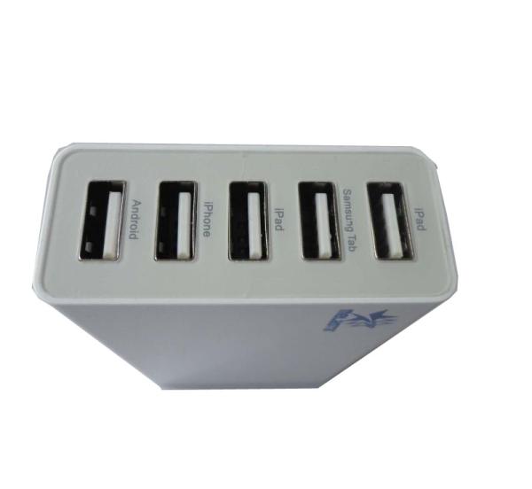 Multifunctional Li-ion Battery Charger AC 5V Adapter For iPhone