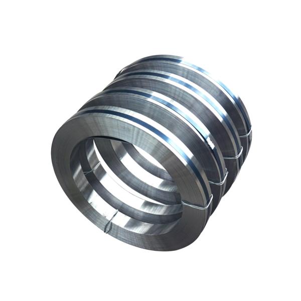 Прокладки нержавеющей стали ASTM 301 толщина 3.0mm ГЕКТОЛИТРА поверхностная