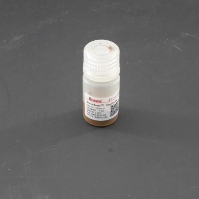 1μm 10 mg / mL 5 ML Silane Magnetic Beads For DNA Extraction