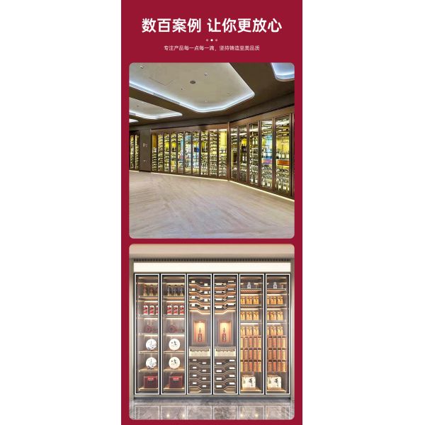 Vinoteca independiente de acero inoxidable con dos zonas de temperatura independientes