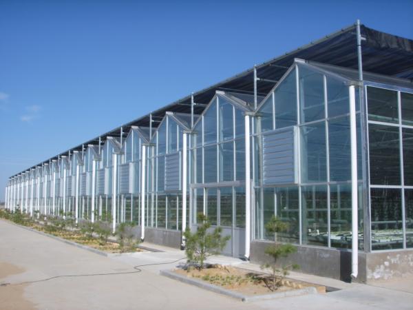 Galvanized Steel Horticultural Glass Greenhouse Waterproof Good Anti Corrosive Effect