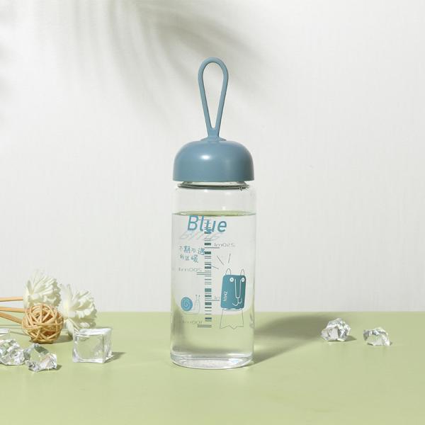 Clear Single Wall Transparent Glass Drinking Water Bottles Portable