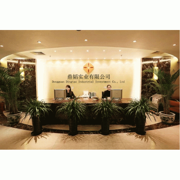 Dongguan Dingtao Machinery Technology Co., Ltd