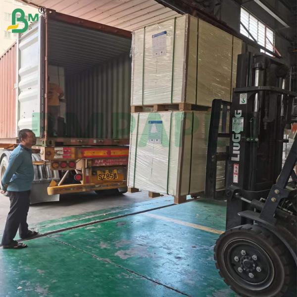 40g Degradable Food Safety Grease Resistant Paper For Sandwiches Hamburger packaging