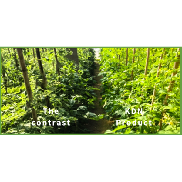 Crop Agricultural Probiotics In Plants Em Bacteria Powder