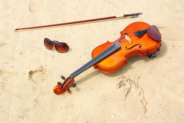 china advanced professional handmade stringed instrument China made brand all solid 4/4 44 violin [Back panel material