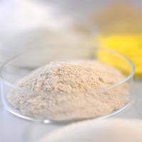Enzima proteica protease alcalina termostável ser utilizada em campos alimentares