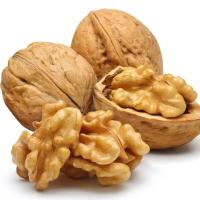Naturals Walnut Halves & Pieces 1 lb, 100% XinJiang Walnuts não salgados para assar