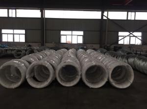 Hot Dipped 5 16 Galvanized Stay Wire Messenger Wire ASTM A 475 7 X 2.64mm