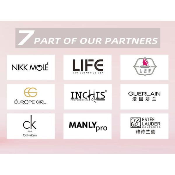 OEM/ODM High-quality Sable Hair Blush Brush