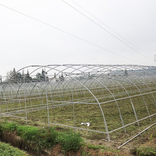 Fruits Growing Agricultural Polyethylene Film Greenhouse Hot Dip Galvanized