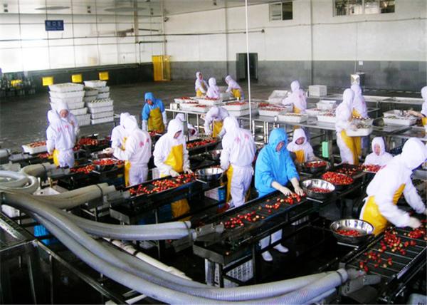 Customized Fruit Canning Equipment Canned Strawberry Production Machine