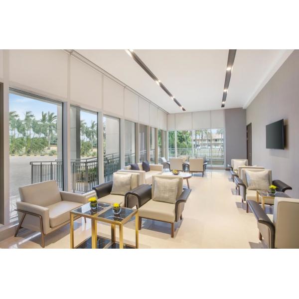 India Hyatt Hotel Blue Theme National Features Thin Structure Furnitures