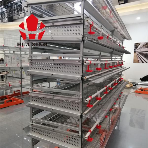 6 Tier Metal Bird Breeding Cages , Hot Galvanized 240 - 576 Quail Farming Cages