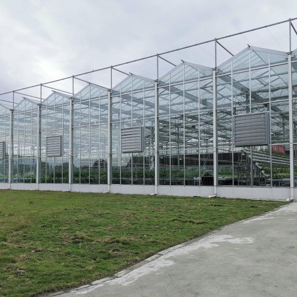 Heating System Serra Di Vetro Multi-Span Greenhouse Venlo Greenhouse Spare Parts Venlo Glass Winter Greenhouse